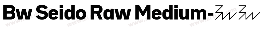 Bw Seido Raw Medium字体转换